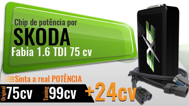 Chip de potência Skoda Fabia 1.6 TDI 75 cv